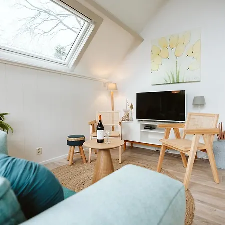 Jonkerstee 59 - Holiday home Ouddorp